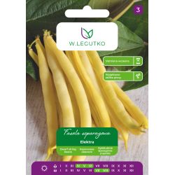 Fasola zwykła Elektra 40g - Nasiona - W. Legutko Fasola zwykła Elektra 40g - Nasiona - W. Legutko