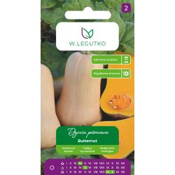 Dynia piżmowa Butternut 2g - Nasiona - W. Legutko