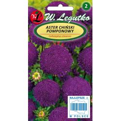 Aster chiński pomponowy fioletowy 1g - Nasiona - W. Legutko