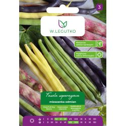 Fasola zwykła mieszanka odmian 40g - Nasiona - W. Legutko