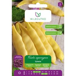 Fasola zwykła Tytania 30g - Nasiona - W. Legutko