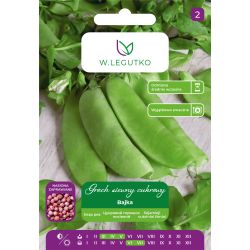Groch Bajka 40g nasiona zaprawiane - Nasiona - W. Legutko