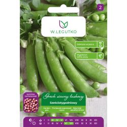 Groch Sześciotygodniowy 40g nasiona zaprawiane - Nasiona - W. Legutko