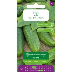 Ogórek Izyd F1 5g - Nasiona - W. Legutko