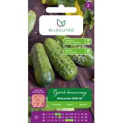 Ogórek Wisconsin SMR 58 5g nasiona zaprawiane - Nasiona - W. Legutko