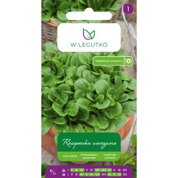 Roszponka warzywna Verte de Cambrai 2g - Nasiona - W. Legutko Roszponka warzywna Verte de Cambrai 2g - Nasiona - W. Legutko