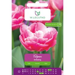 Tulipan Dressing różowy 4szt. - Cebule i Kłącza - W. Legutko Tulipan Dressing różowy 4szt. - Cebule i Kłącza - W. Legutko