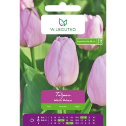 Tulipan Mistic Prince różowy 4szt. - Cebule i Kłącza - W. Legutko Tulipan Mistic Prince różowy 4szt. - Cebule i Kłącza - W. Legutko