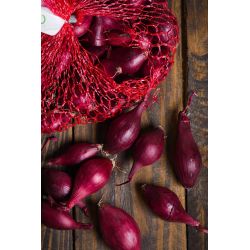 Cebula dymka zimująca Akado 250g - Cebule i Kłącza - W. Legutko Cebula dymka zimująca Akado 250g - Cebule i Kłącza - W. Legutko