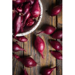 Cebula dymka Karmen 300g - Cebule i Kłącza - W. Legutko Cebula dymka Karmen 300g - Cebule i Kłącza - W. Legutko