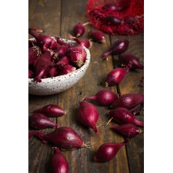 Cebula dymka Red Baron 250g - Cebule i Kłącza - W. Legutko Cebula dymka Red Baron 250g - Cebule i Kłącza - W. Legutko