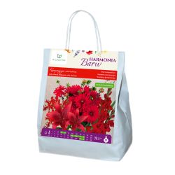 Kompozycja czerwona - 20szt. - Cebule i Kłącza - W. Legutko Kompozycja czerwona - 20szt. - Cebule i Kłącza - W. Legutko