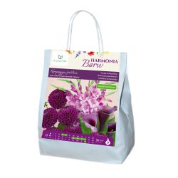 Kompozycja fioletowa - 18szt. - Cebule i Kłącza - W. Legutko Kompozycja fioletowa - 18szt. - Cebule i Kłącza - W. Legutko