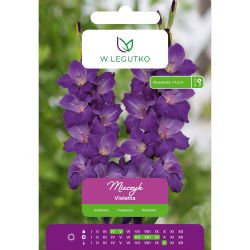 Mieczyk Violetta szafirowy 5szt. - Cebule i Kłącza - W. Legutko