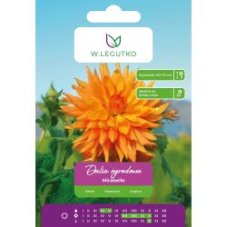 Dalia Mirabelle pomarańczowo-brzoskwiniowa 1szt. - Cebule i Kłącza - W. Legutko