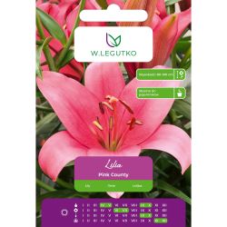 Lilia Pink County różowa 1 szt. - Cebule i Kłącza - W. Legutko