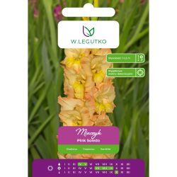 Mieczyk Pink Soledo łososiowo-żółty 5szt. - Cebule i Kłącza - W. Legutko