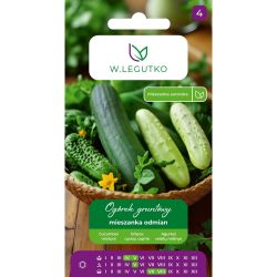 Ogórek mieszanka odmian 5g - Główna - W. Legutko