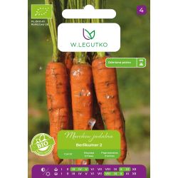 Marchew BIO Berlikumer 2 5g - Nasiona - W. Legutko