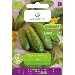 Ogórek BIO Dar 2g - Nasiona - W. Legutko Ogórek BIO Dar 2g - Nasiona - W. Legutko