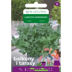 Lubczyk ogrodowy 0.50g na balkon i taras - Nasiona - W. Legutko