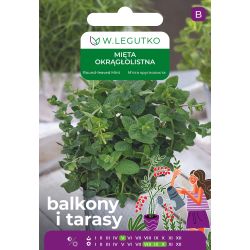 Mięta okrągłolistna 0.10g na balkon i taras - Nasiona - W. Legutko