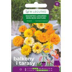 Nagietek lekarski Bon Bon Mixture mieszanka 2g na balkon i taras - Nasiona - W. Legutko