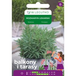 Rozmaryn lekarski 0.10g na balkon i taras - Nasiona - W. Legutko Rozmaryn lekarski 0.10g na balkon i taras - Nasiona - W. Legutko