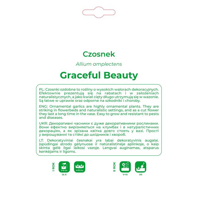 Czosnek Graceful Beauty biały z liliowymi pręcikami 10szt. - Cebule i Kłącza - W. Legutko