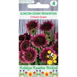 Słonecznik Crimson Queen czerwony 1g - Nasiona - W. Legutko