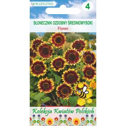 Słonecznik Floren brązowy 1g - Nasiona - W. Legutko Słonecznik Floren brązowy 1g - Nasiona - W. Legutko