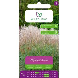 Miskant chiński 0.05g - Nasiona - W. Legutko