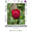 Tulipan Red Rover czerwony 4szt. - Cebule i Kłącza - W. Legutko