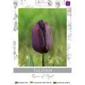 Tulipan Queen of Night bordowy 4szt. - Cebule i Kłącza - W. Legutko
