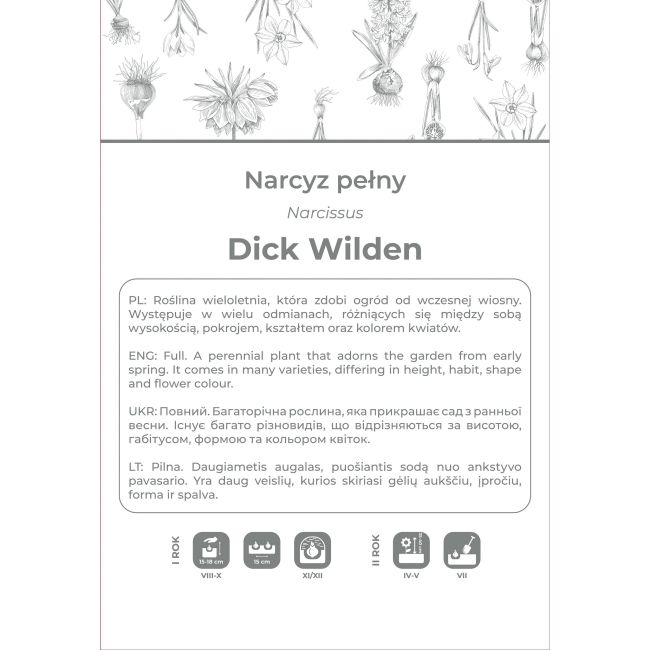 Narcyz Dick Wilden żółty 3szt. - Cebule i Kłącza - W. Legutko