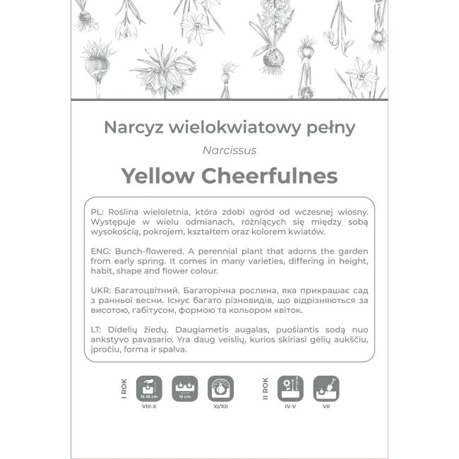 Narcyz Yellow Cheerfulness żółty 3szt. - Cebule i Kłącza - W. Legutko