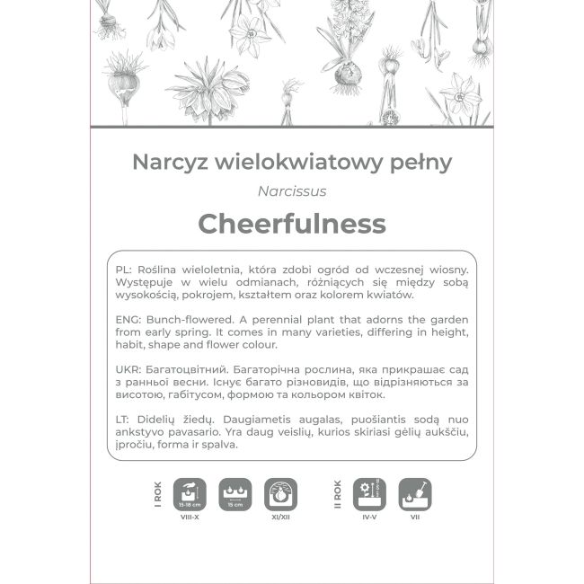 Narcyz Cheerfulness biały 3szt. - Cebule i Kłącza - W. Legutko
