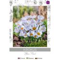Krokus Blue Pearl niebieski 8szt. - Cebule i Kłącza - W. Legutko