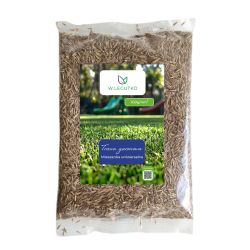 Mieszanka traw gazonowych uniwersalna dosiewka 100g - Nasiona - W. Legutko
