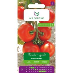 Pomidor Moneymaker 0,5g - Nasiona - W. Legutko