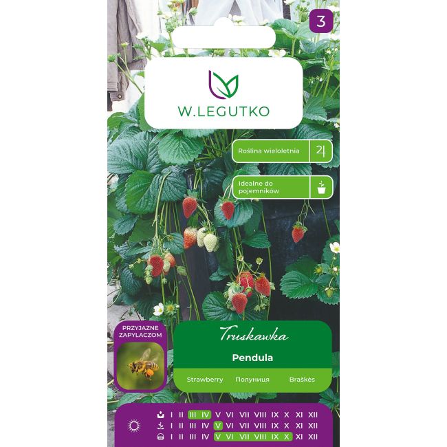 Truskawka Pendula czerwona 0,01g - Nasiona - W. Legutko