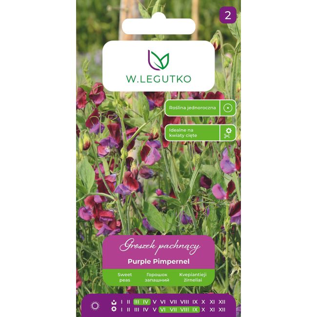 Groszek pachnący Purple Pimpernel 3g - Nasiona - W. Legutko