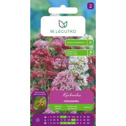 Kentrantus mieszanka 0,3g - Nasiona - W. Legutko