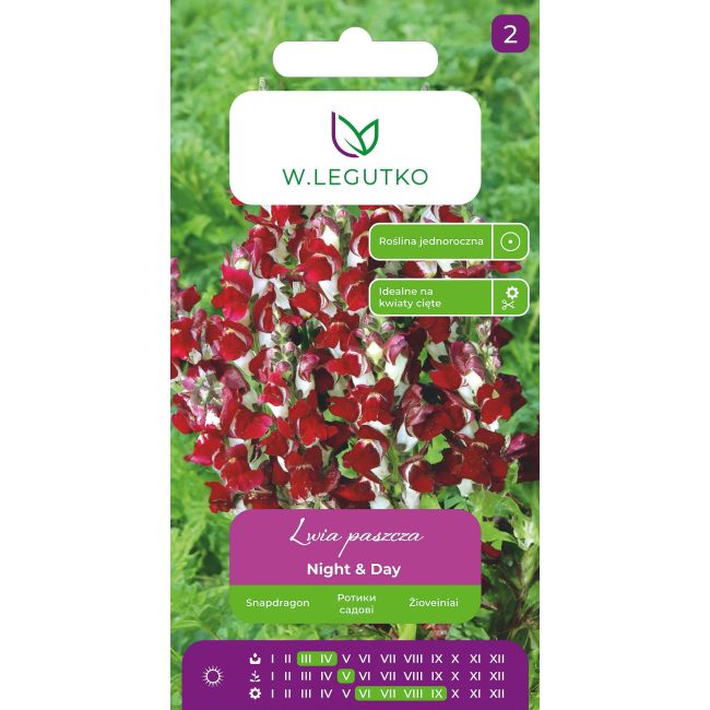 Lwia paszcza Night & Day 0,6g - Nasiona - W. Legutko
