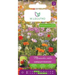 Mieszanka roślin wabiących biedronki 3g - Nasiona - W. Legutko