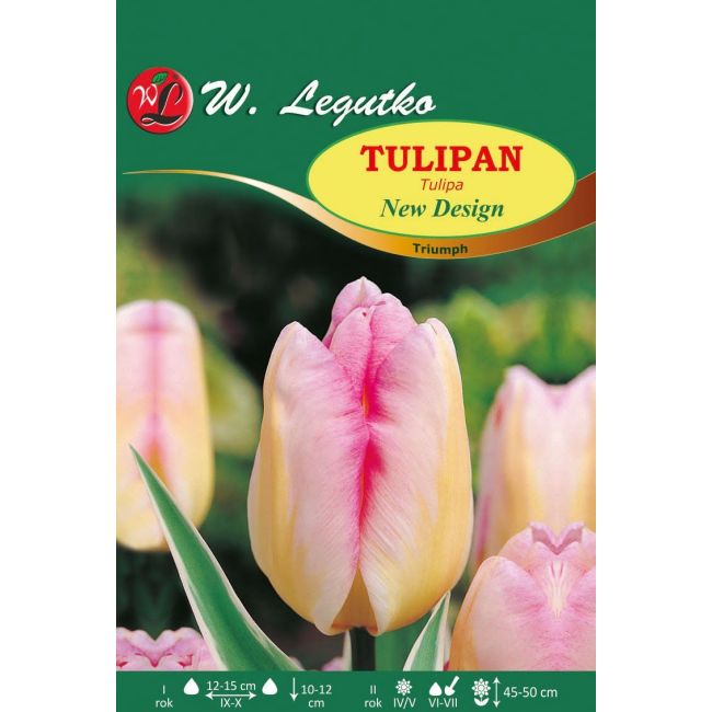 Tulipan - Triumph - New Design - Cebule i Kłącza - W. Legutko