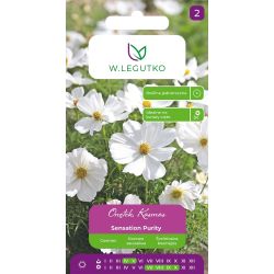 Onętek, Kosmos Sensation Purity biały 1g - Nasiona - W. Legutko