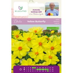 Dalia Yellow Butterfly żółta 1szt. - Cebule i Kłącza - W. Legutko