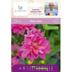 Dalia Pink Lotus różowa 1szt. - Cebule i Kłącza - W. Legutko