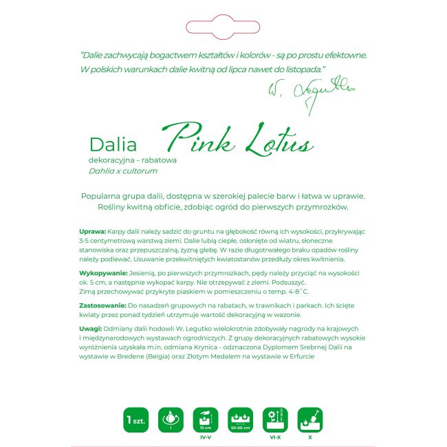 Dalia Pink Lotus różowa 1szt. - Cebule i Kłącza - W. Legutko